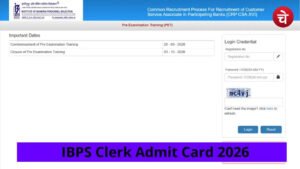 ibps clerk admit card 2026 out