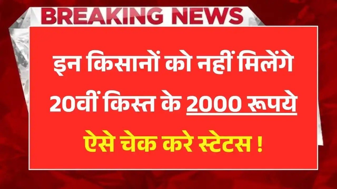 इन किसानों को नहीं मिलेंगे 20वीं किस्त के ₹2000, ऐसे चेक करें स्टेटस, PM Kisan 20th Kist 2025